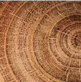 Wood Texture Image